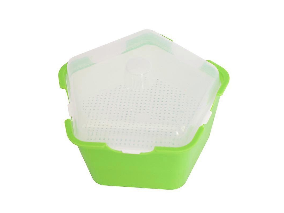 Bandeja De Germinación Para Semillas, Caja De Crecimiento Con Tapa, Ideal Para Hortalizas Frutas En Invernadero Jardín Nursery