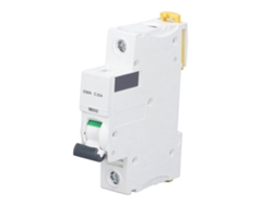 Disyuntor Miniatura Monofásico De Baja Tensión (400 V) Para Montaje En Carril Din Pa66