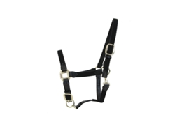 Cabezada para caballos nylon trenzada Kentucky