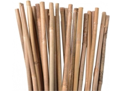 Varillas de Bambú 50 un SUINGA (90 cm, diámetro 6-8 mm)