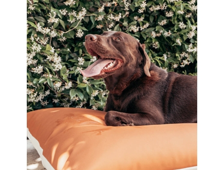 Cama para Perros THE HAPPY NEST Naranja (105 x 125 cm)