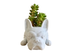 Maceta decorativa de resina con forma de perro