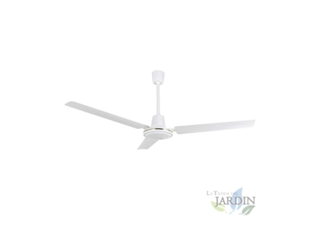 Ventilador de Techo con 5 Velocidades ORBEGOZO Interruptor de Pared 3 Palas 120 cm Diámetro 70 W Blanco