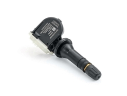 Monitor del sensor de presión de neumáticos Opel 6985598773