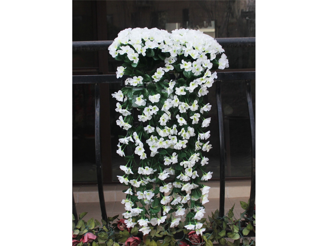 Enredadera Colgante De 5 Pétalos, Blanca