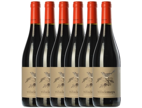 Vino LUZDIVINA AMIGO Luzdivina Amigo Viña De Moya Mencía Bierzo Roble (0.75 L - 6 unidades)