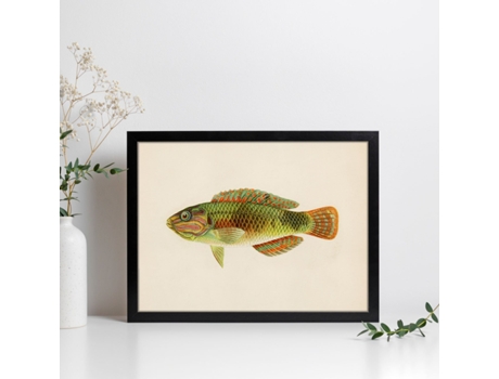 Póster NACNIC de Pez Naranja, Verde y Gris en , Fondo Papel Vintage.