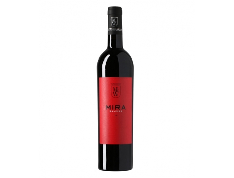 Mira Salinas 2015 SIERRA SALINAS