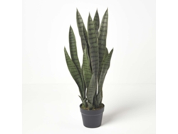 Homescapes Green Snake Plant, 74 Cm Tall