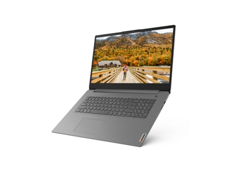 Portátil LENOVO 61416 (17.3 '' - AMD Athlon Silver 3050U - RAM: 4 GB - 128 GB SSD - AMD Radeon Graphics)