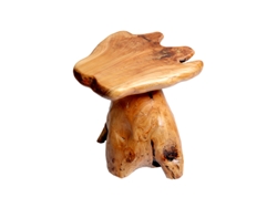Mesa de centro de madera de abeto de forma irregular/Maceta Ziwei Store