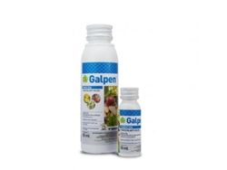 Suspensão concentrada Galpen antimofo fungicida KENOGARD 10 ml