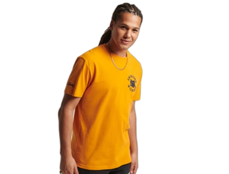 Camiseta para Hombre SUPERDRY (M - Algodón - Dorado)