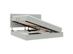 Maison Exclusive - Cama Con Almacenamiento Y Led Con Led Gris Claro 200 X 200 Cm