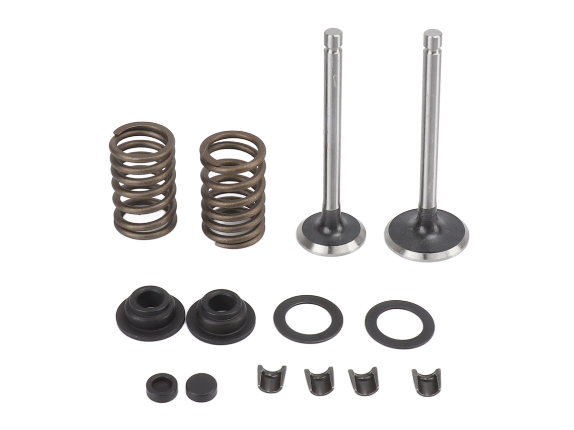 Conjunto De Válvula De Hierro Resistente Al Desgaste Para Cultivador, Para Generador 186f