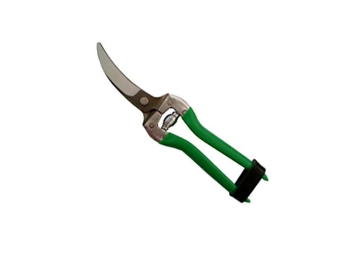 Tijera ajos curva 22cm. f-151