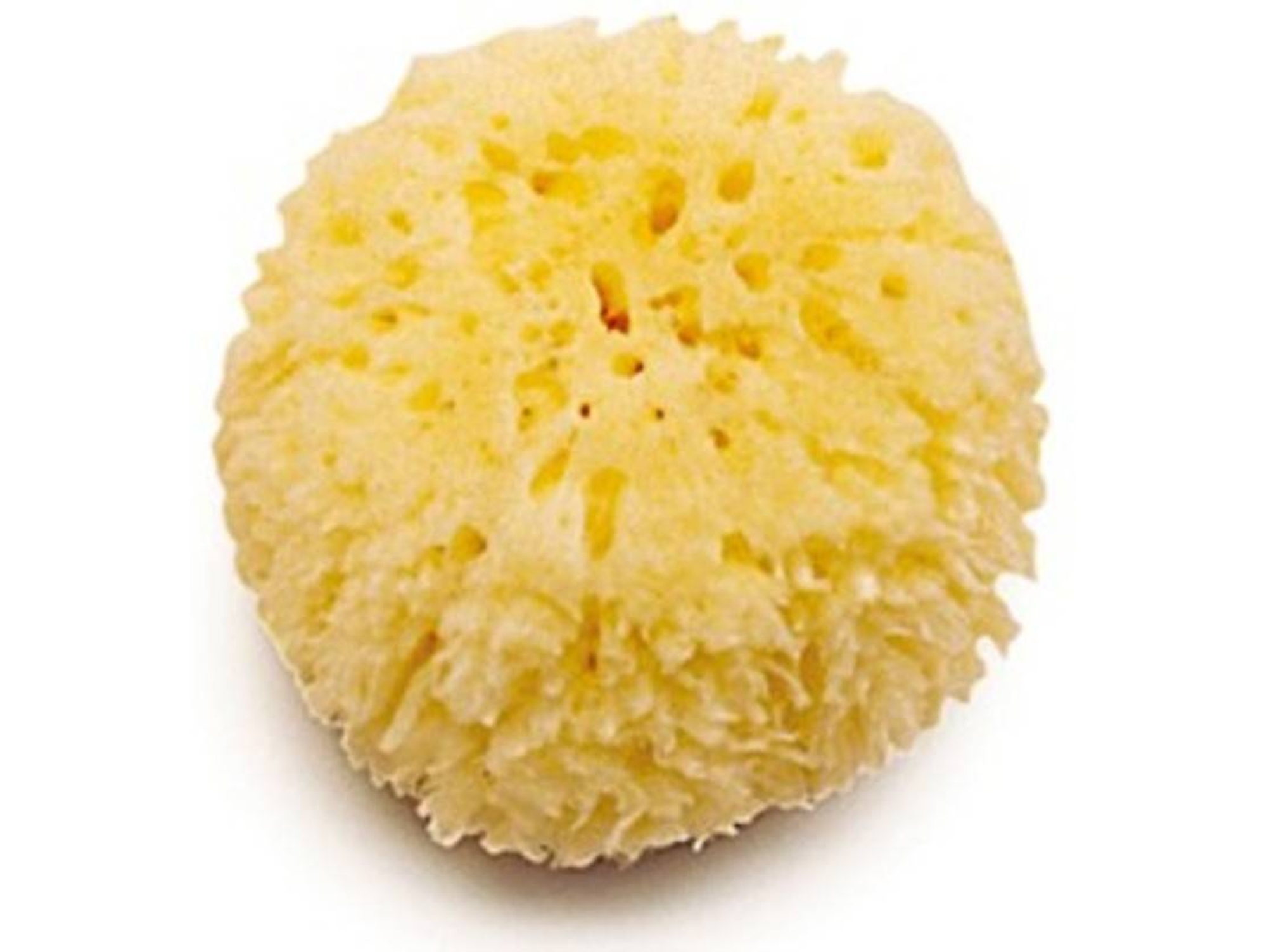 Esponjas OLMITOS natural de Olmitos
