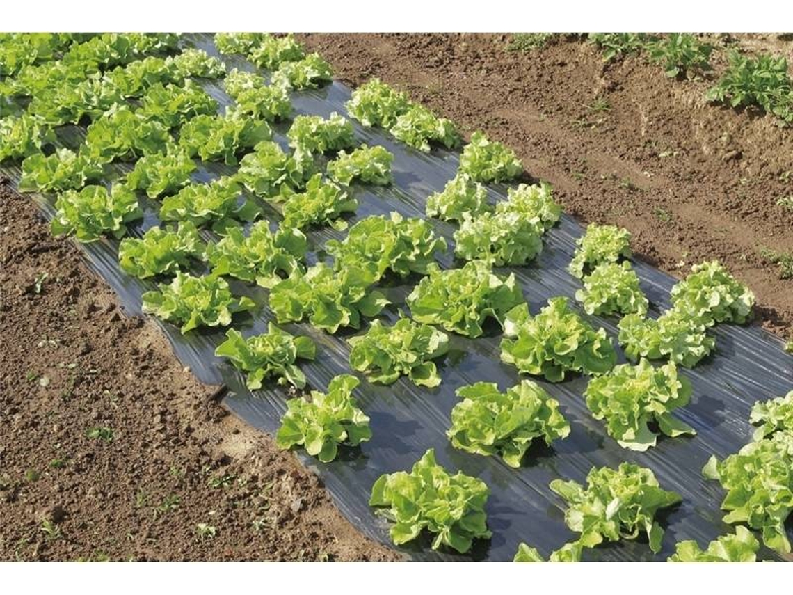 Película NORTENE para Cultivación Tierrafilm