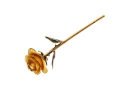 Rosa Preservada Bañada En Oro De 24 Quilates Con Soporte De Regalo Decorativo