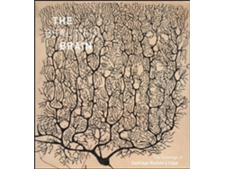 Libro Beautiful Brain de Larry W Swanson, Eric Newman et al. (Inglés - Tapa Dura)