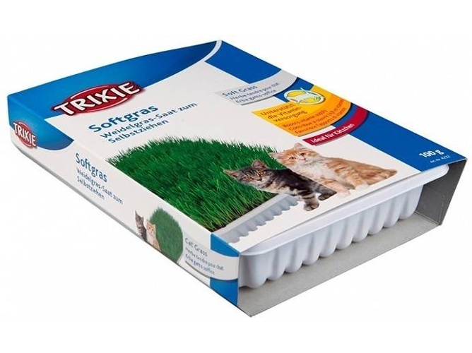 Hierba para Gatos TRIXIE Con Tabuleiro (100g)