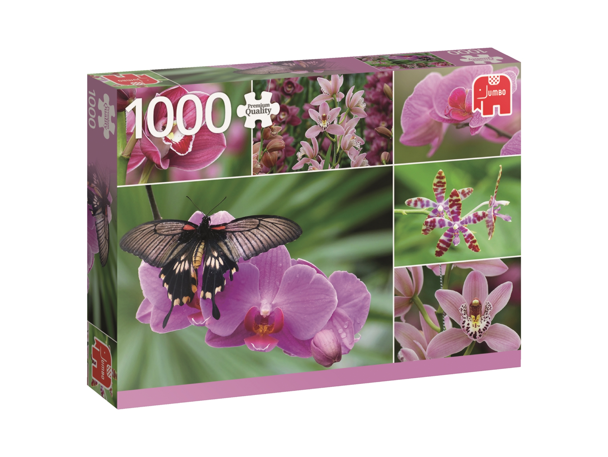 Puzzle JUMBO Orchids (1000 Piezas)