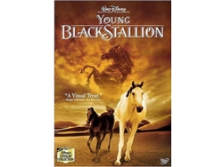DVD Young Black Stallion Inglés