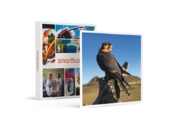 Caja Regalo SMARTBOX Una jornada cetrera en familia de 2 horas