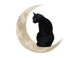 Placa Decorativa De Metal Galvanizado Con Diseño De Gato En La Luna Para Pared, 30x30cm