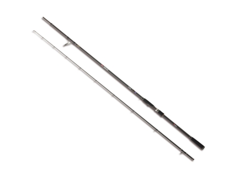 Cana Spinning Toyama Preto 2.55 M / 10-30 Gakami