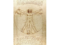 Libro Vitruvian Man Notebook de Leonardo da Vinci (Inglés)