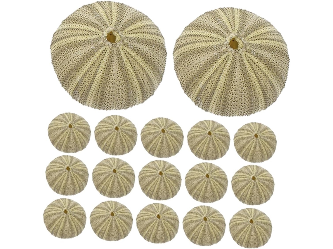 18 Piezas De Conchas De Erizo De Mar Naturales Para Decoración De Acuarios, Manualidades