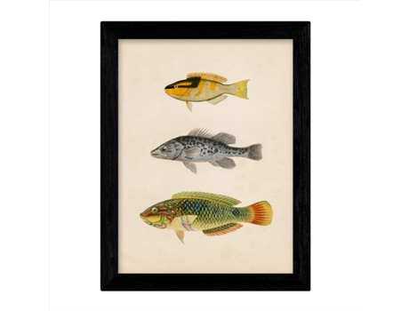 Set De 4 Láminas De Peces Coloridos Efecto Vintage. Cantabrico. Composicion De 11 Peces Diferentes, Fondo Papel Antiguo Vintage. Sin Marco