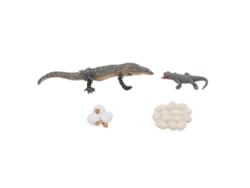Bjww-4 Peças Brinquedo Ciclo De Vida Lagarto Pvc Realista Educativo Réptil Crescimento Animal