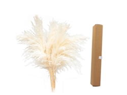 Planta de la Pampa seca, decoración boho, arreglo natural