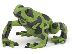 Figura PAPO Sapo Verde Equatorial