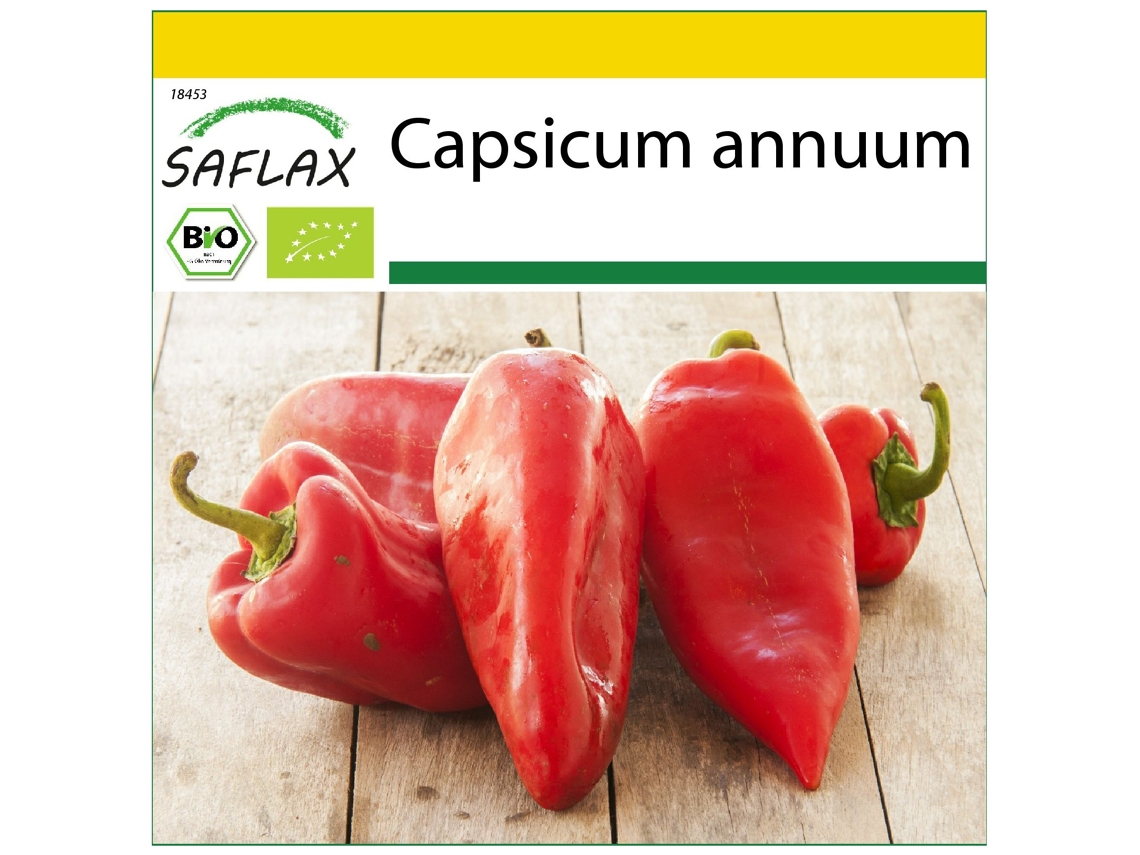 SAFLAX Conjunto de cultivo Ecológico Pimiento Marconi Rojo Largo 20 semillas Con mini invernadero, sustrato de cultivo y 2 macetas Capsicum annuum