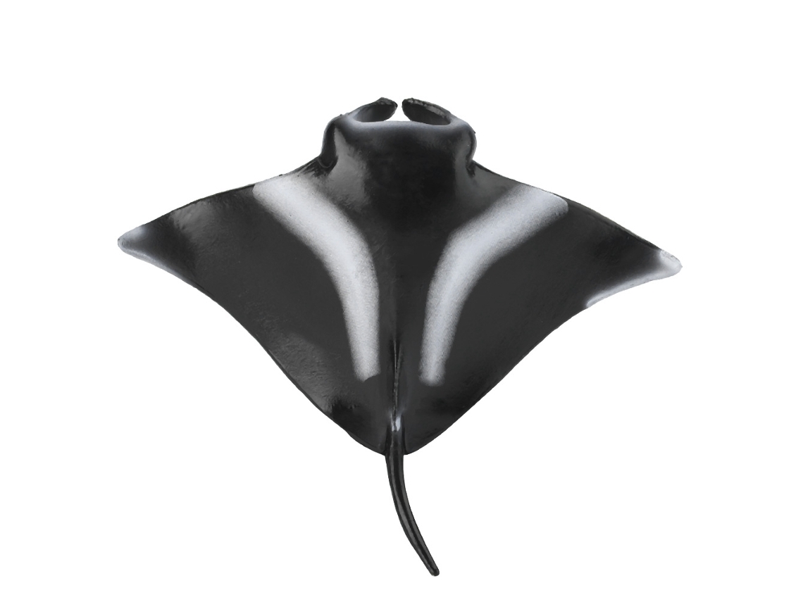 Figura En Miniatura De Manta Raya, Modelo De Animal De Plástico, Juguete Educativo Y Decorativo Para Niños.