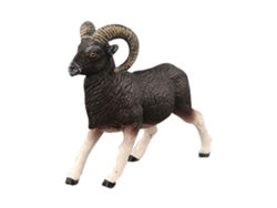 Rebe-modelo De Estátua De Plástico Realista De Animal Selvagem Africano Brinquedo Para Crianças (argali)