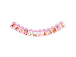 VVJIJILLY Pasta Para Fotos De 1 Ano Do Bebê, 12 Meses, Bandeira De Aniversário, Foto Floral, Quadro De Decoração