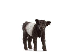 Figura Ternero Galloway SCHLEICH