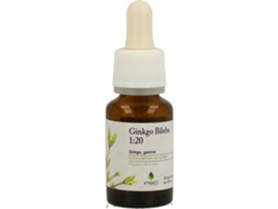 Té FORZA VITALE Ginkgo Biloba (15 ml)