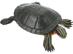Modelo Educativo De Tortuga De Plástico Para Niños Y Niñas, Figura De Animal, Decoración De Escritorio.