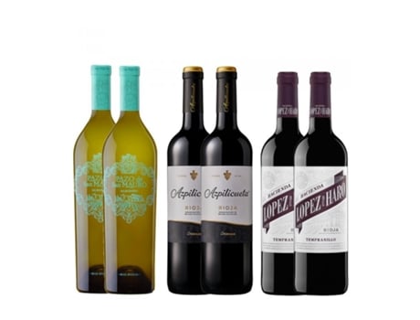 Pack 6 Garrafas Albariño Rioja BODEGA AZPILICUETA