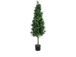 Planta Artificial EUROPALMS Laurel Cone (Verde - 150 cm)