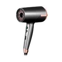 Secador de Pelo Profesional