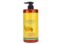 2026 shampoo para Cabelo com Controle de Oleosidade, Nutrição e Anti caída Cuidado Capilar Ginger