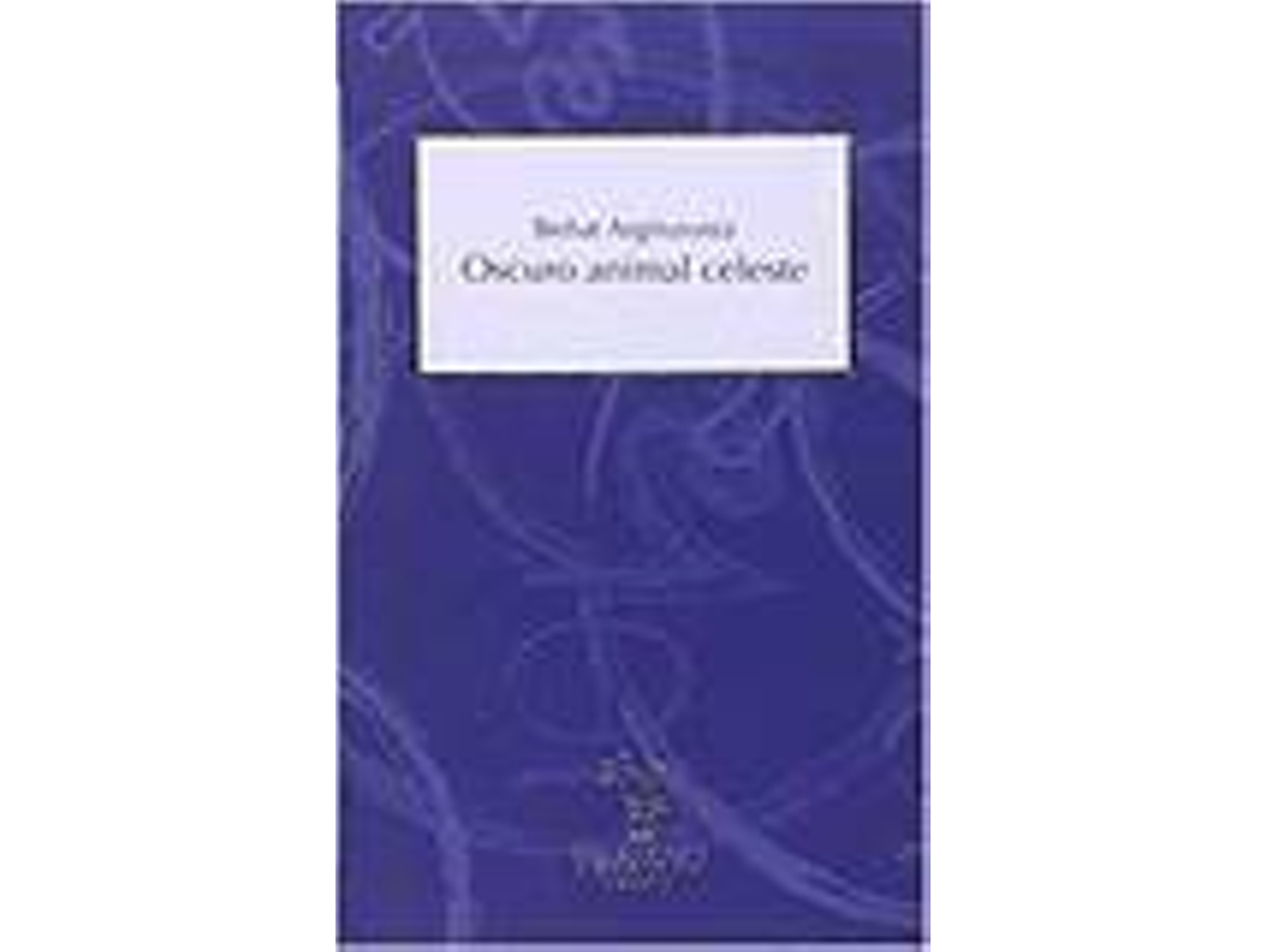 Libro Oscuro Animal Celeste de Beñat Arginzoniz (Español)