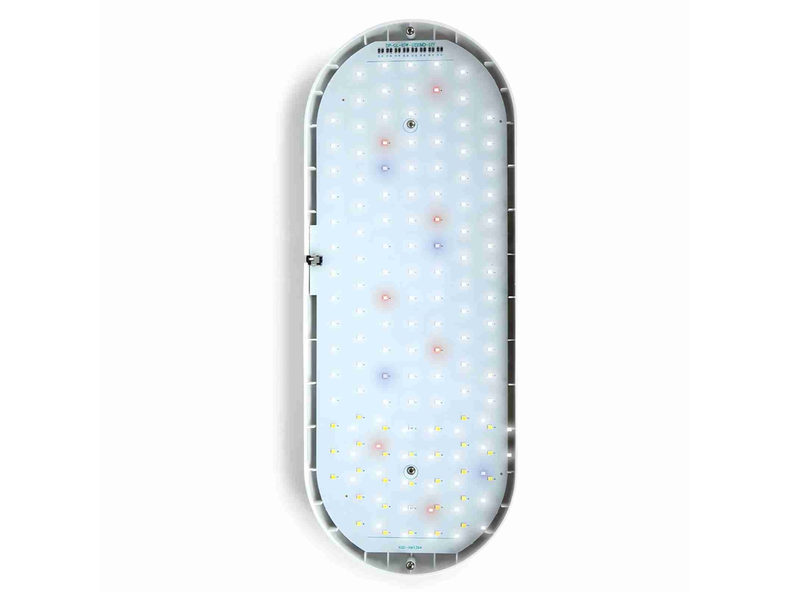 Luz De Crecimiento Para Plantas Interiores 10w 4 Niveles De Brillo Espectro Completo Led Mesa