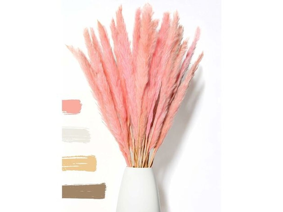 15 Cañas De Flores De Pampa Secas - Flores Secas Naturales, Decoración Duradera Y Elegante - 60 Cm
